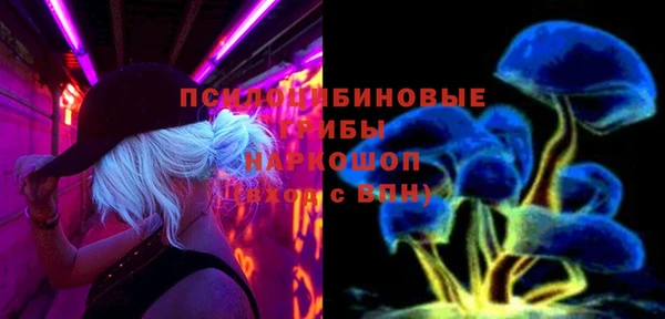 гашик Богородск