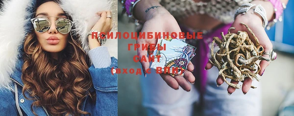 винт Богородицк