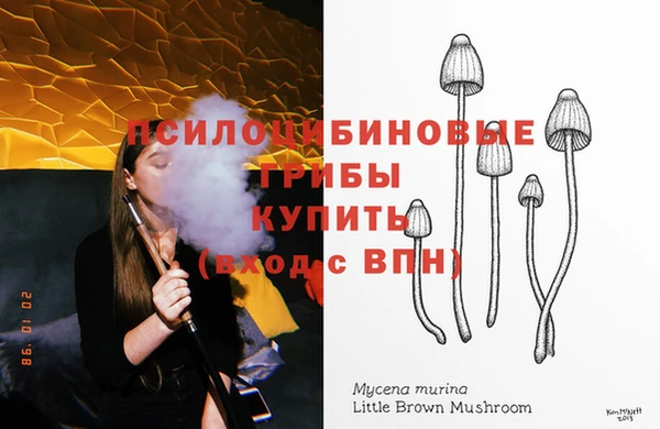 винт Богородицк