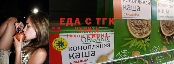 гашик Богородск
